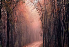 德甲:柏林联盟以0比1 败给基尔.