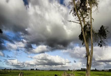 雷速体育:郑钦文展望澳网,官方公布奖金:冠军能拿到1592万元人民币九派新闻.