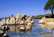 雷速体育:芈昱廷达成围棋名人战四连霸2025-01-16.